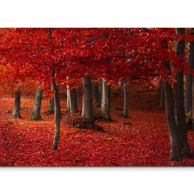 120x80cm Wandbild Wald Herbst Blätter Laubboden