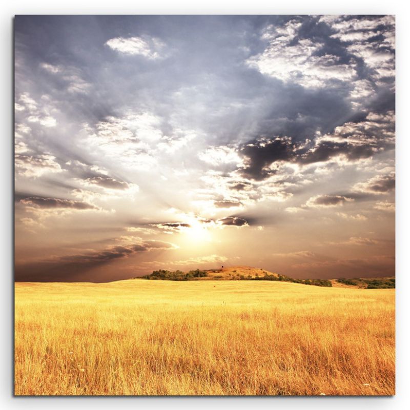 Landschaftsfotografie – Gold gelbes Weizenfeld im Sonnenschein auf Leinwand