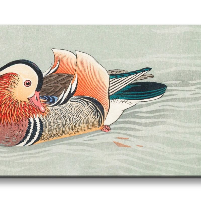 Remaster 120x60cm Ohara Koson traditionell japanische Kunst farbenfrohe Ente im Teich Japan