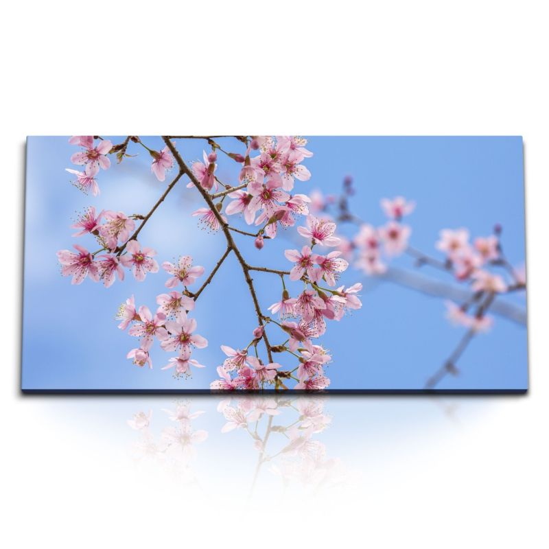 Kunstdruck Bilder 120x60cm Baumblüten Frühling blauer Himmel Sonnenschein