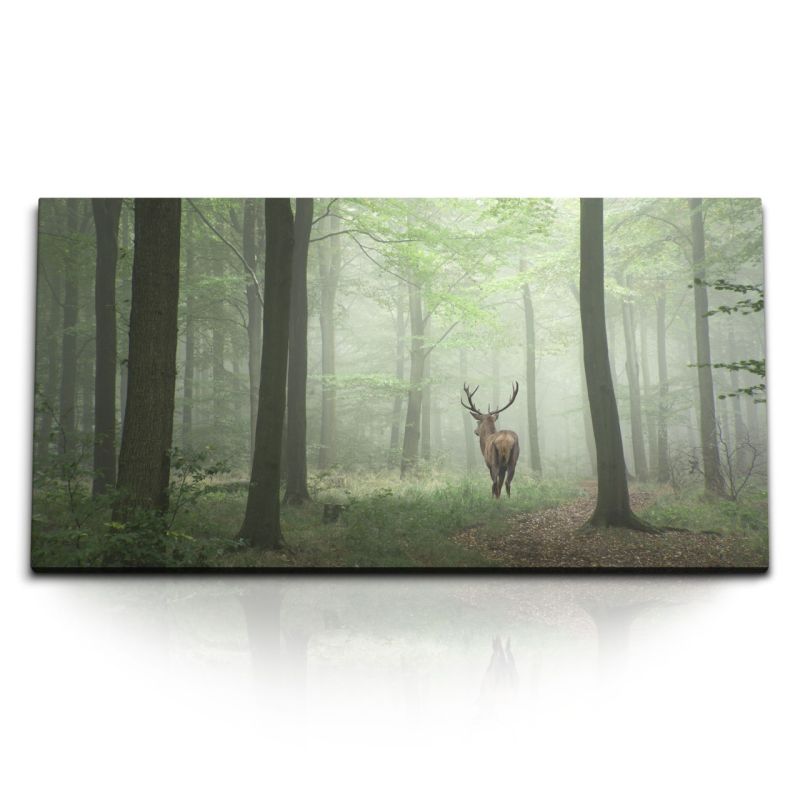 Kunstdruck Bilder 120x60cm Hirsch im Wald Natur Bäume Tierfotografie