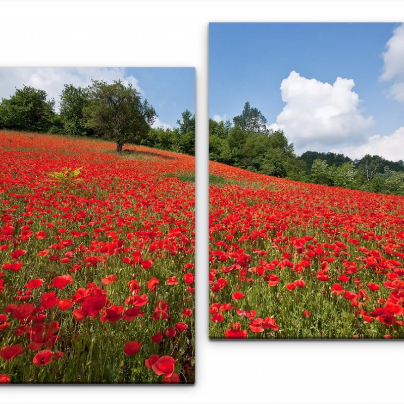 Blumenwiese Wandbild in verschiedenen Größen