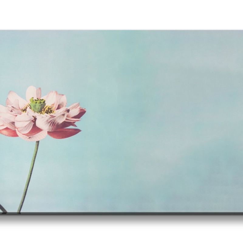 Remaster 120x60cm Ogawa Kazumasa berühmte Fotografie Blume Blüte Lotus Schön