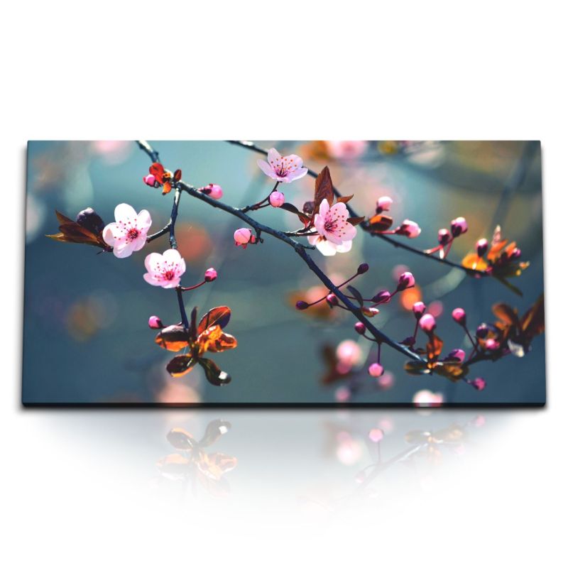 Kunstdruck Bilder 120x60cm Frühling Kirschblüten Baumblüten Ast Natur