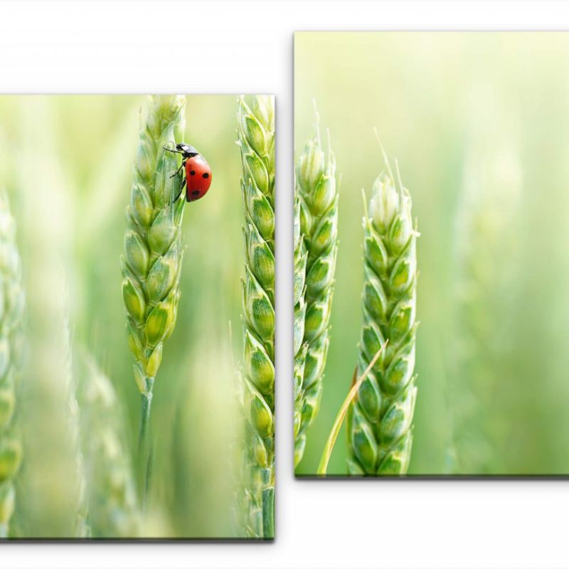 Marienkäfer Wandbild in verschiedenen Größen