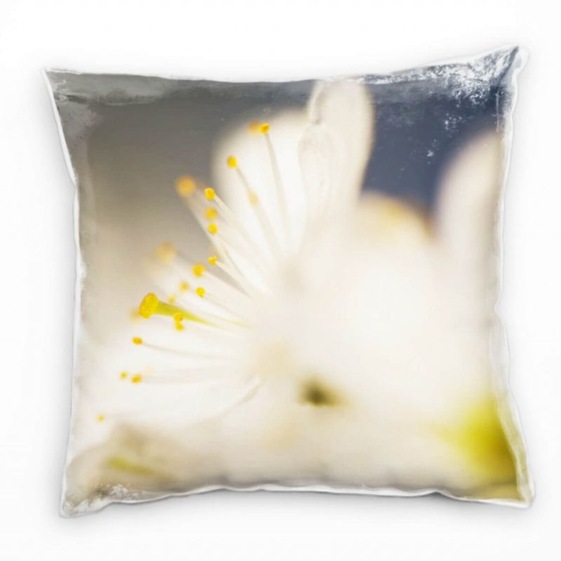 Macro, Blumen, Kirschblüte, weiß, gelb Deko Kissen 40x40cm für Couch Sofa Lounge Zierkissen