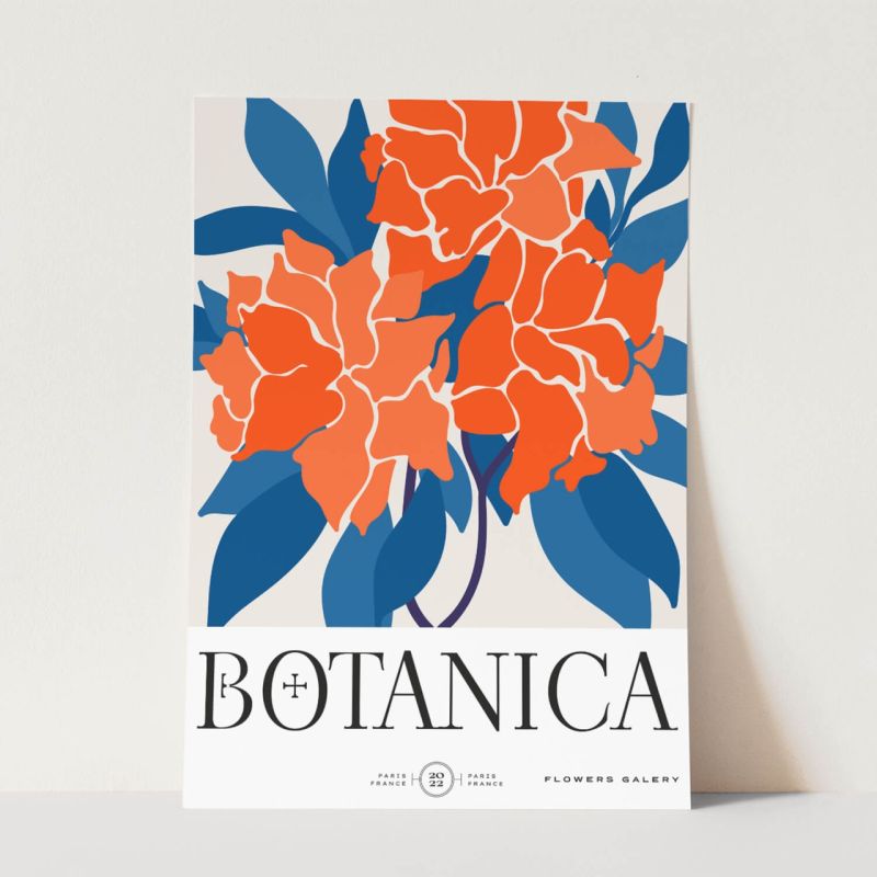 Botanica Wunderschöne Blumen Illustration Dekorativ Modern Farbenfroh