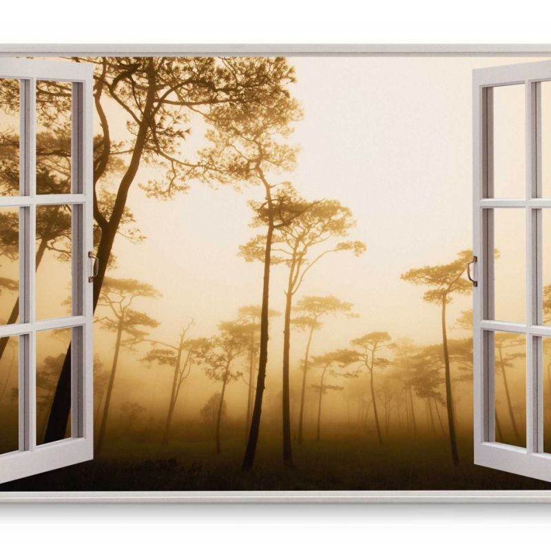 Wandbild 120x80cm Fensterbild Wald in Thailand Nebel Bäume Morgentau Natur