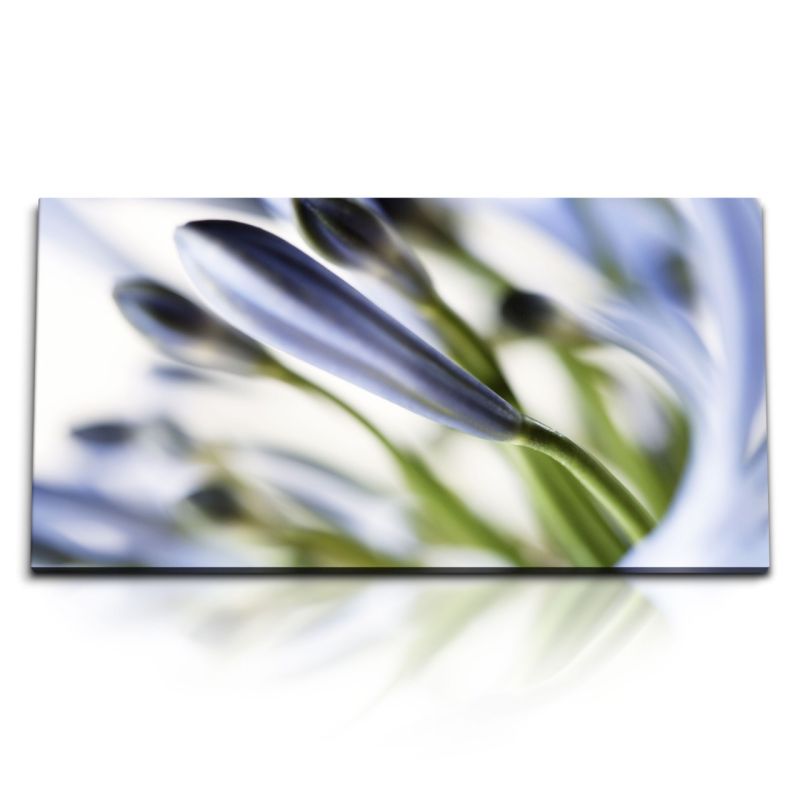 Kunstdruck Bilder 120x60cm Fotokunst Blumen Blüten Makrofotografie Hellblau