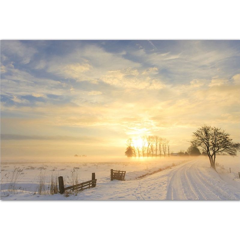 120x80cm Winterlandschaft Nebel Schnee Sonne