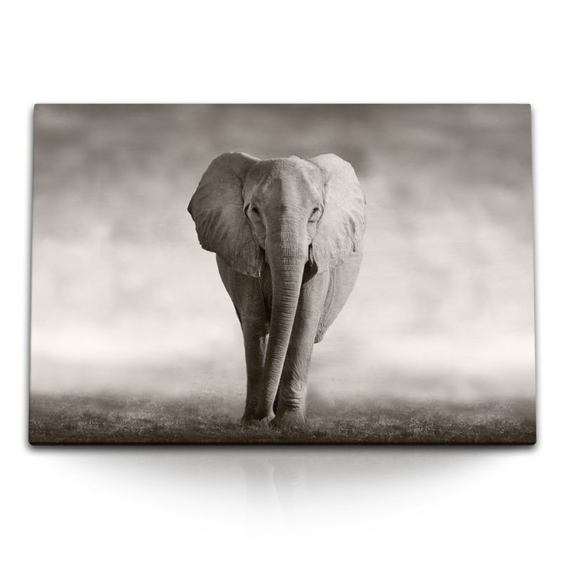 120x80cm Wandbild auf Leinwand Elefant Grau Tierfotografie Afrika Wildnis