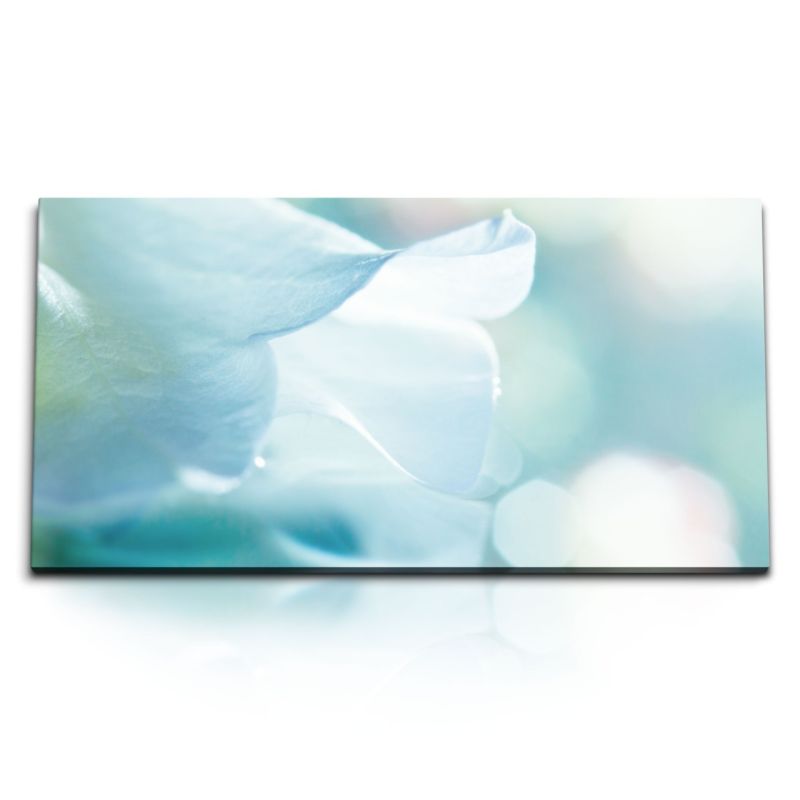 Kunstdruck Bilder 120x60cm Weiße Blüte Blume Hell Hellblau Makrofotografie