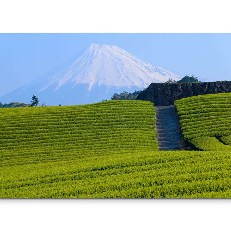 120x80cm Wandbild Fuji Berg Vulkan Wiesen Feld