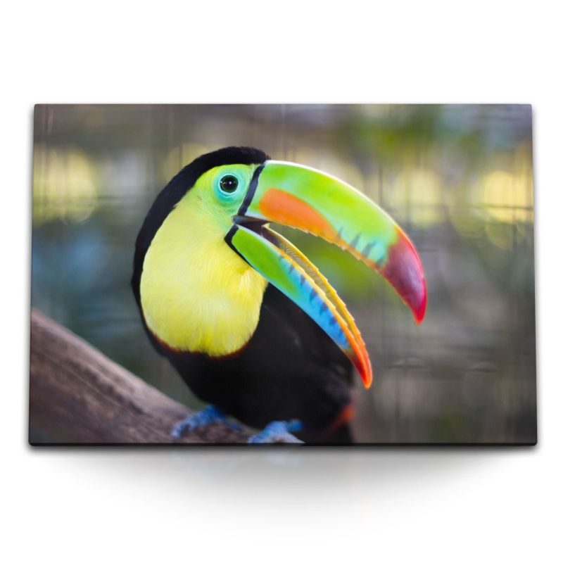 120x80cm Wandbild auf Leinwand Tukan Vogel Exotisch Tropisch Tierfotografie Farbenfroh