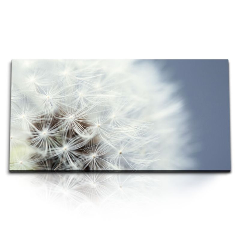 Kunstdruck Bilder 120x60cm Pusteblume Makrofotografie Weiß Blume Nahaufnahme