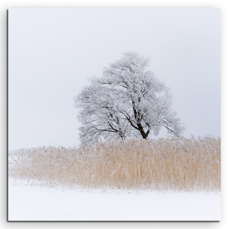 Landschaftsfotografie –  Einsamer Baum am See auf Leinwand