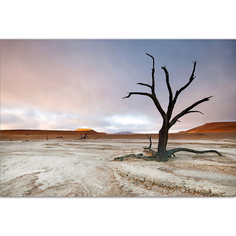 120x80cm Landschaft Baum Himmel Berge