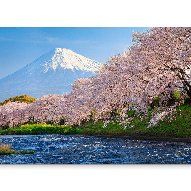 120x80cm Wandbild Berg Fuji Fluss Kirschbäume Morgenlicht