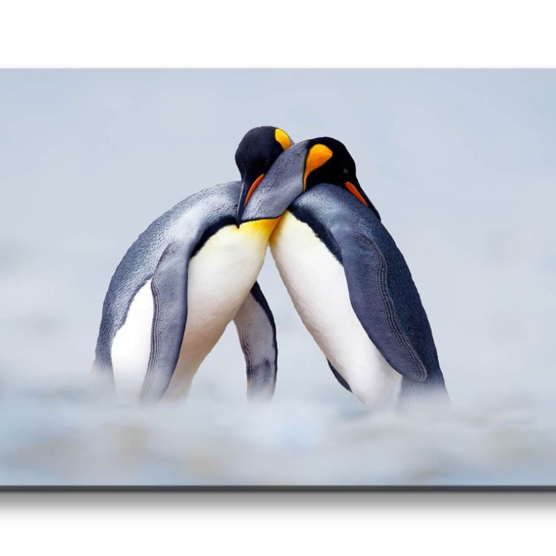 Leinwandbild 120x60cm Kaiserpinguine Pinguine Pärchen Eis schöne Tiere