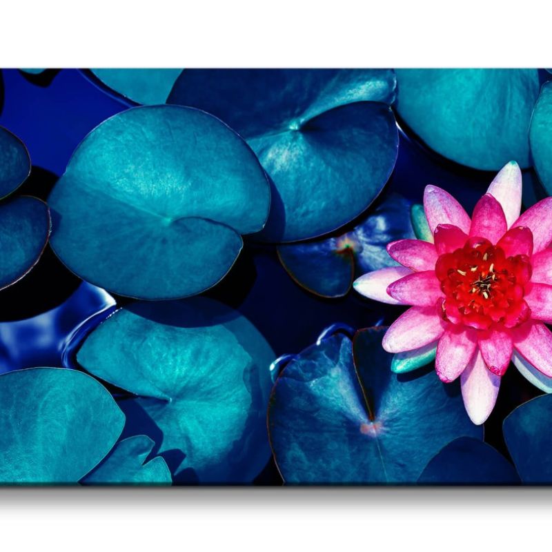 Leinwandbild 120x60cm Seerose Blume Asien Wasserblume Schön Kunstvoll