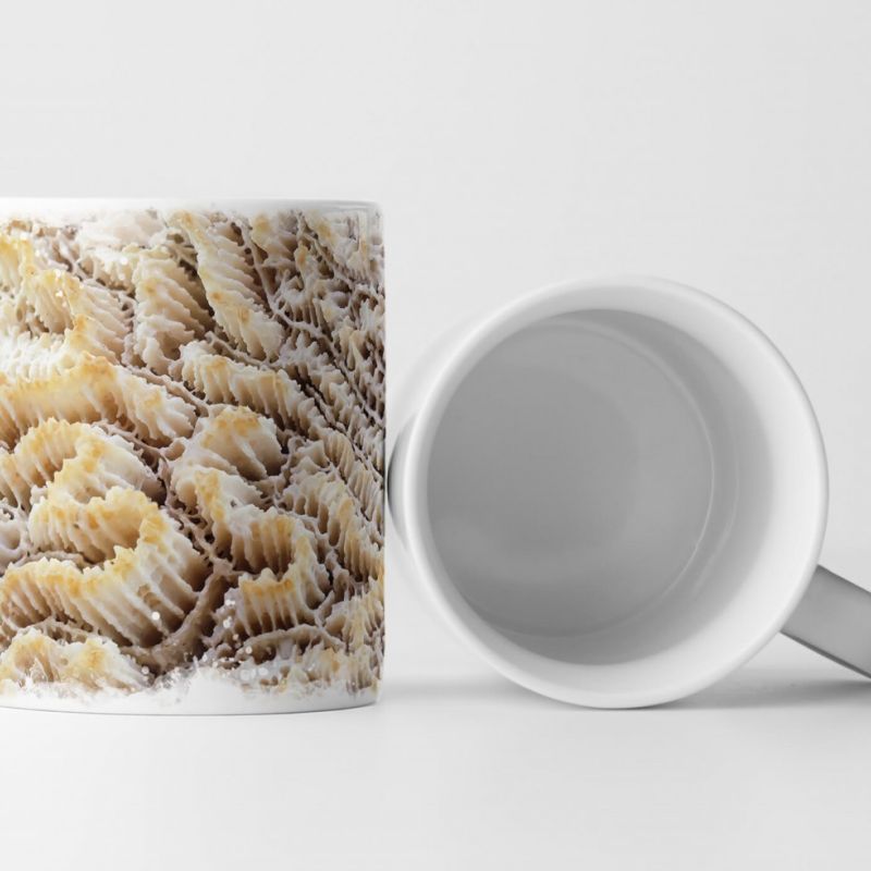 Tasse Geschenk Weiße Koralle