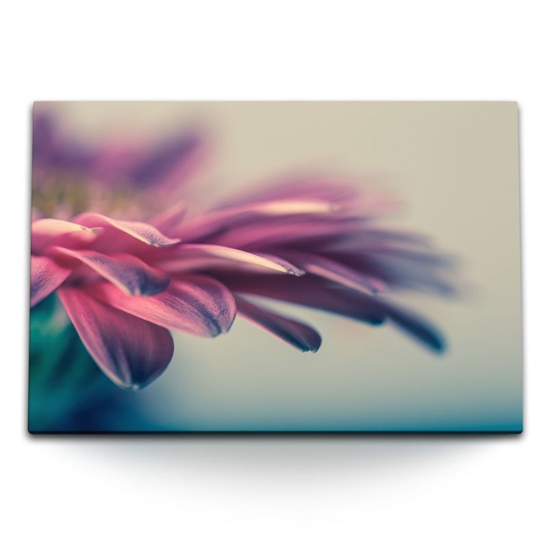 120x80cm Wandbild auf Leinwand Gerbera Blume Pink Makrofotografie Blüte