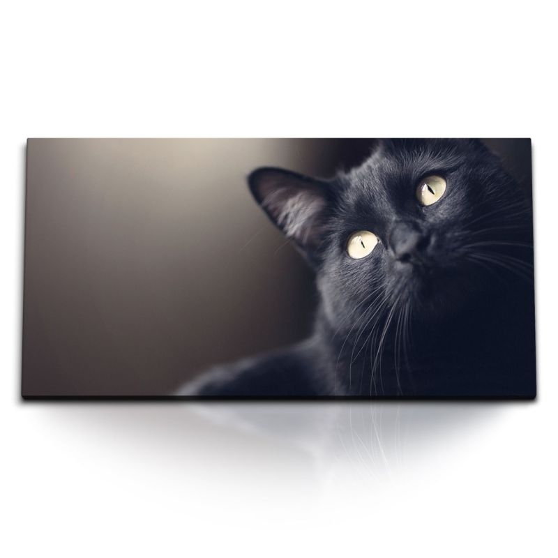 Kunstdruck Bilder 120x60cm Schwarze Katze Hauskatze Katzenaugen Tierfotografie