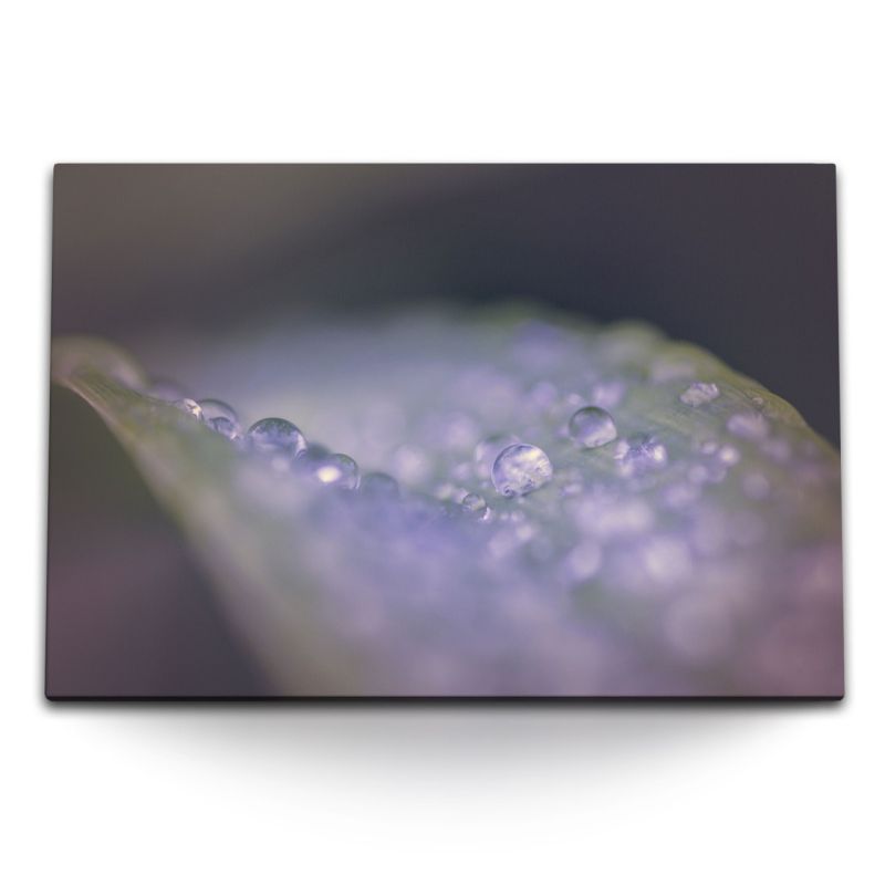 120x80cm Wandbild auf Leinwand Makrofotografie Blüte Wassertropfen Regentropfen