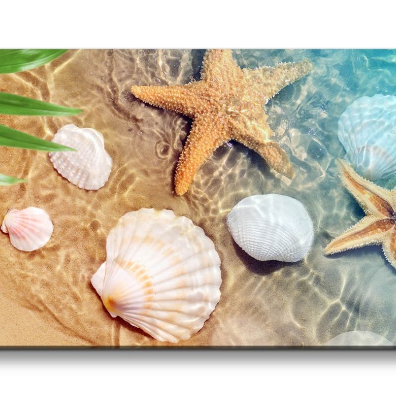 Leinwandbild 120x60cm Seesterne Muscheln Meer Wasser Strand Dekorativ