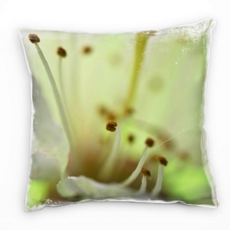 Macro, Blumen, Kirschblüte, weiß, grün Deko Kissen 40x40cm für Couch Sofa Lounge Zierkissen