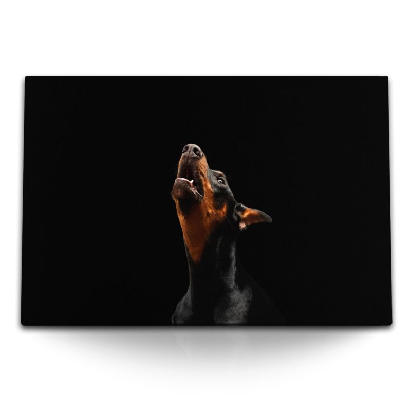 120x80cm Wandbild auf Leinwand Dobermann Hund Schwarz Tierfotografie