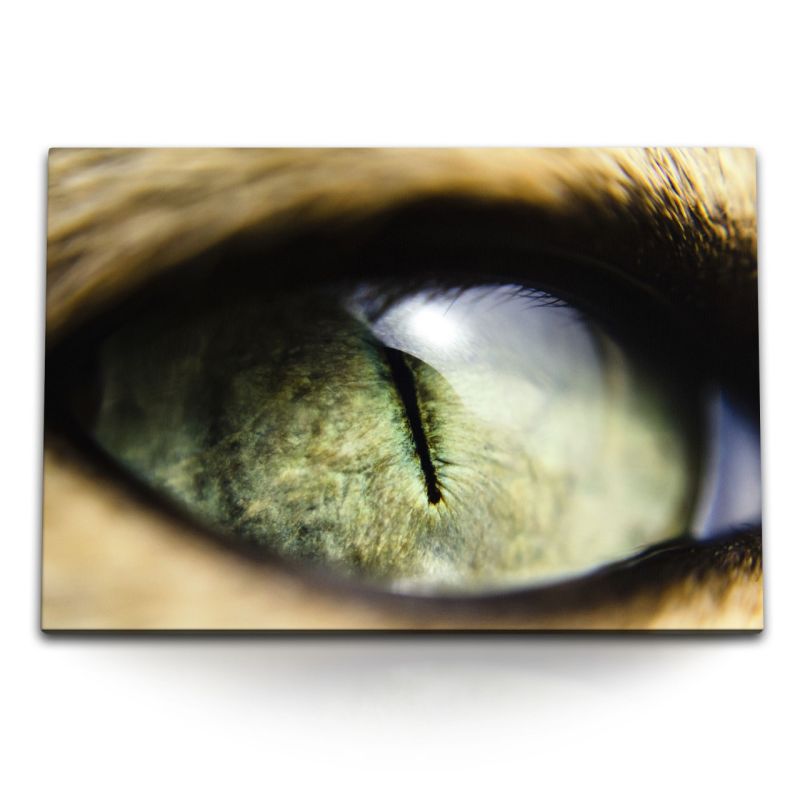 120x80cm Wandbild auf Leinwand Makrofotografie Katzenauge Raubkatze Auge