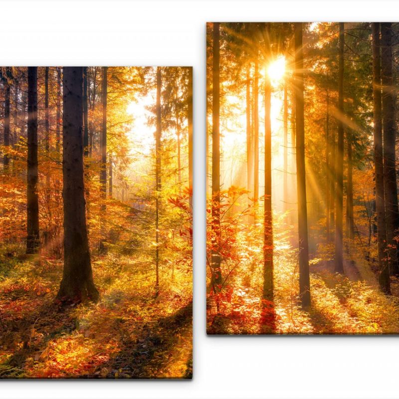 Sonnendurchfluteter Herbstwald Wandbild in verschiedenen Größen