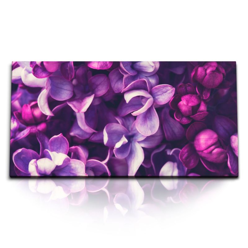 Kunstdruck Bilder 120x60cm Orchideen Blüten Blumen Lila Violett Kunstvoll