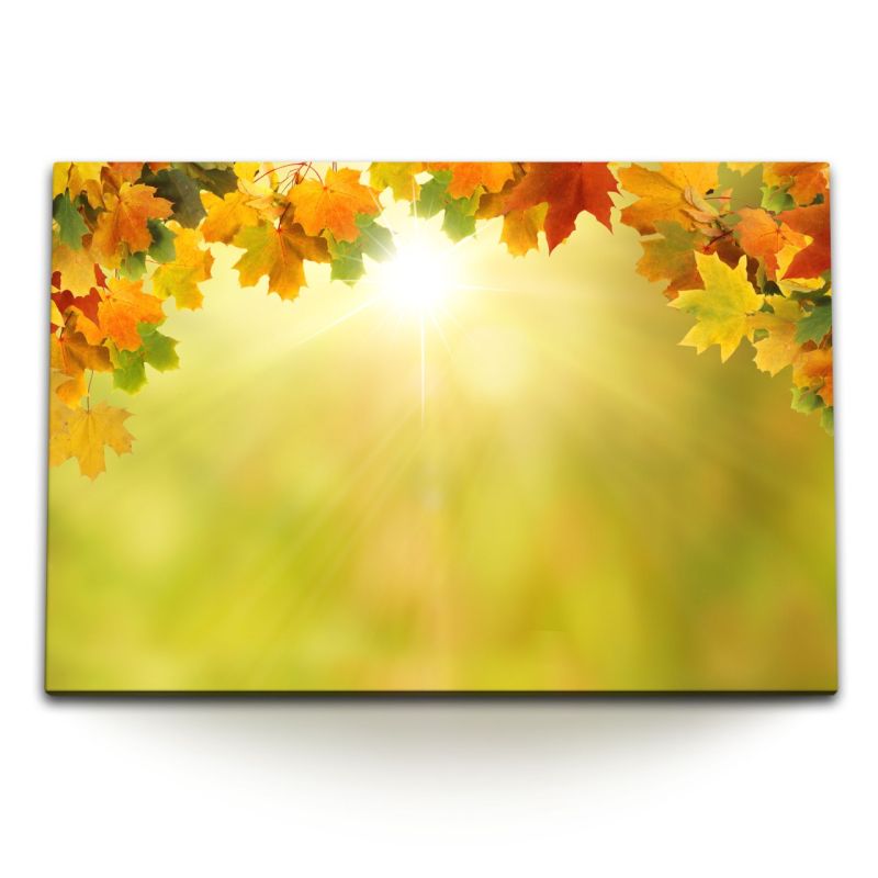 120x80cm Wandbild auf Leinwand Sonnenschein Herbst Herbstblätter Sonnenstrahl