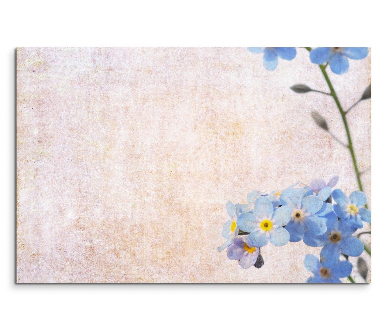 120x80cm Wandbild Blume Blüten blau