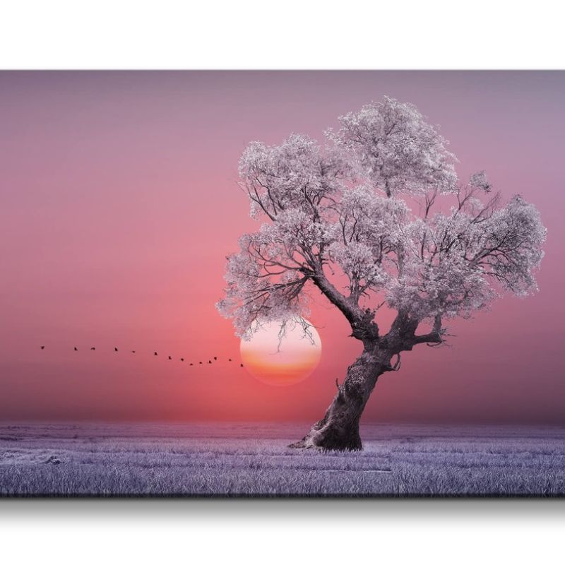 Leinwandbild 120x60cm Einsamer Baum Frost Sonne Horizont Vögel Märchenhaft