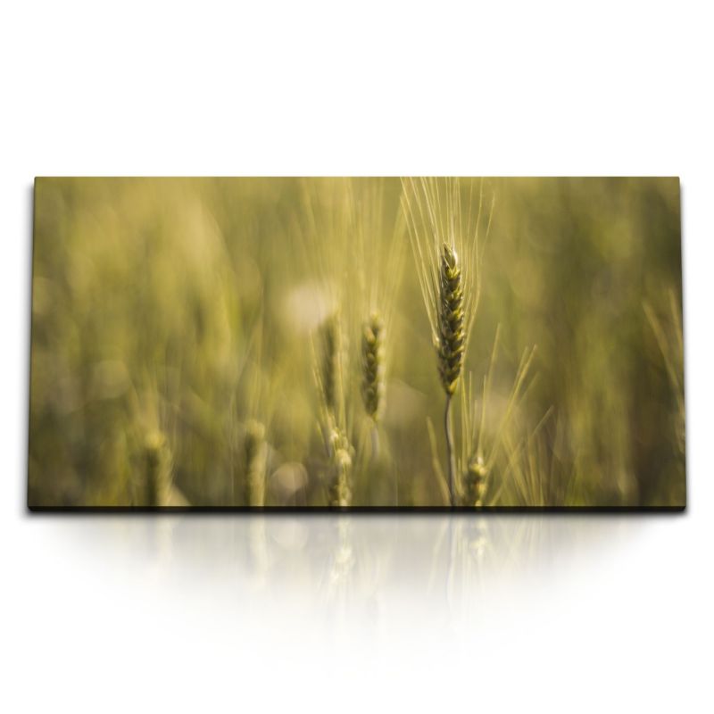 Kunstdruck Bilder 120x60cm Weizen Weizenfeld Feld Sommer Sonnenschein Natur