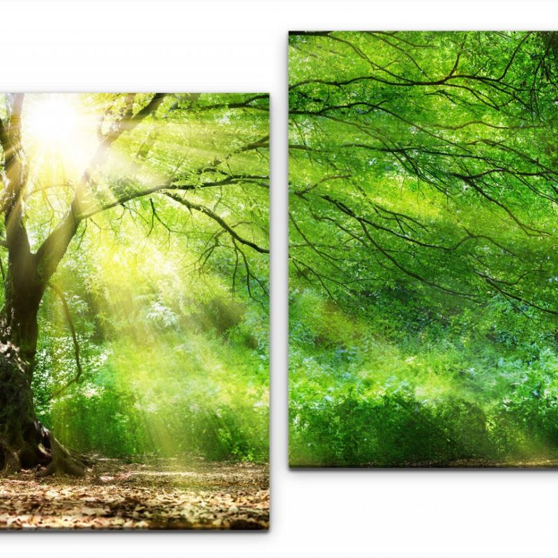 Baum mit Sonnenstrahlen im Winter Wandbild in verschiedenen Größen