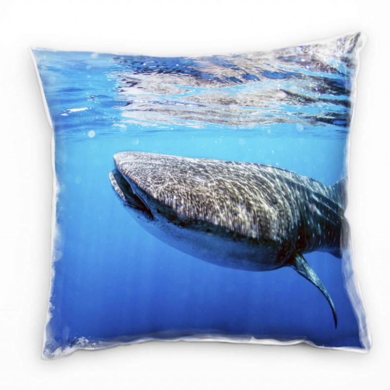 Tiere, Walhai, Unterwasser, blau, grau Deko Kissen 40x40cm für Couch Sofa Lounge Zierkissen