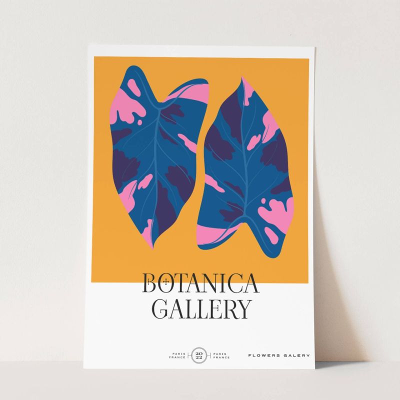 Botanica Wunderschöne Blumen Illustration Dekorativ Modern Farbenfroh