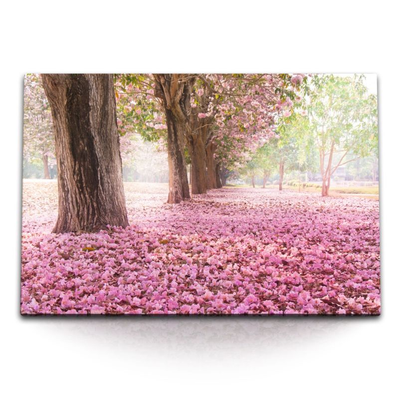 120x80cm Wandbild auf Leinwand Baumblüten Frühling Rosa Park Bäume Natur