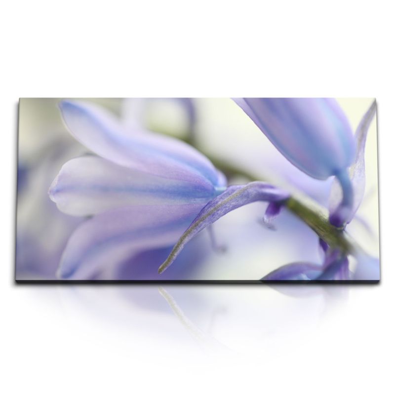 Kunstdruck Bilder 120x60cm Lilie Blumen Blüten Hellblau Blau Nahaufnahme