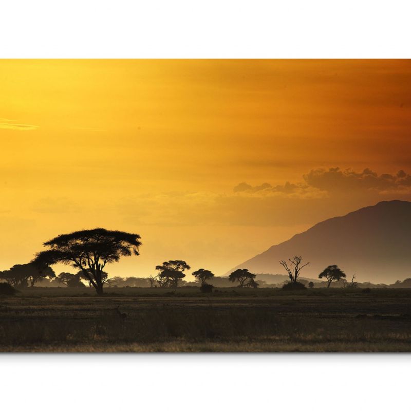 120x80cm Wandbild Afrika Kenia Akazien Bäume Sonnenuntergang