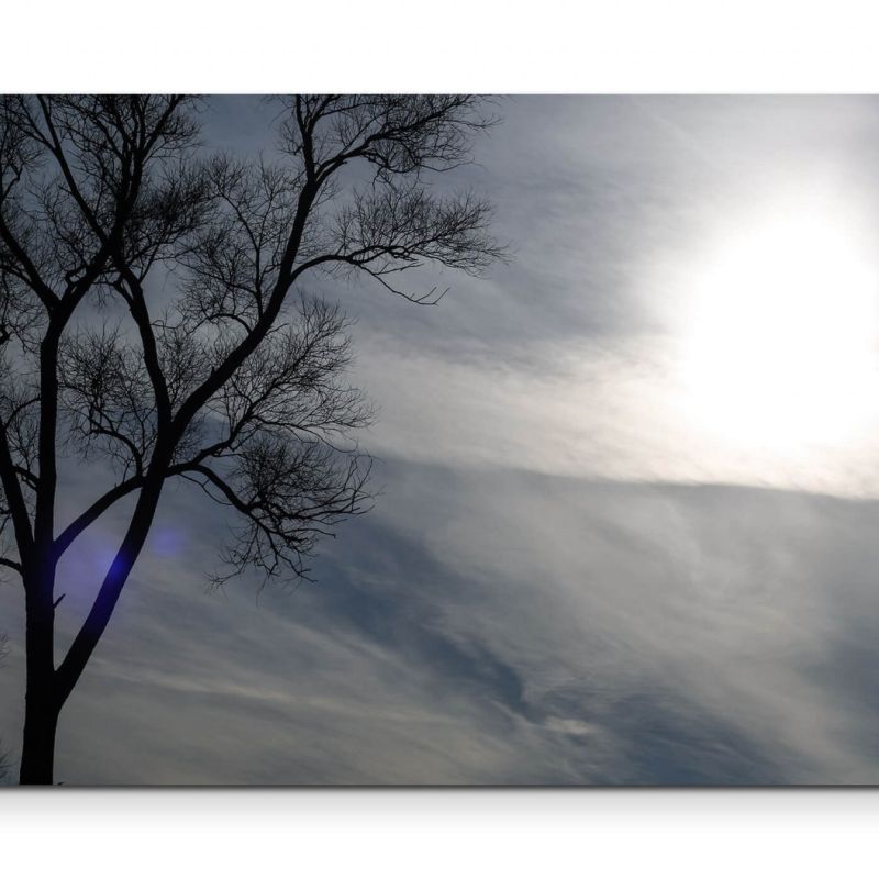 Baum, Sonne, Wolken – Leinwandbild