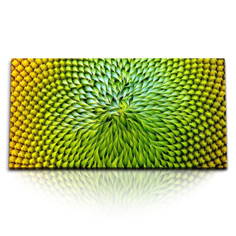 Kunstdruck Bilder 120x60cm Makrofotografie Sonnenblume Nahaufnahme Gelb