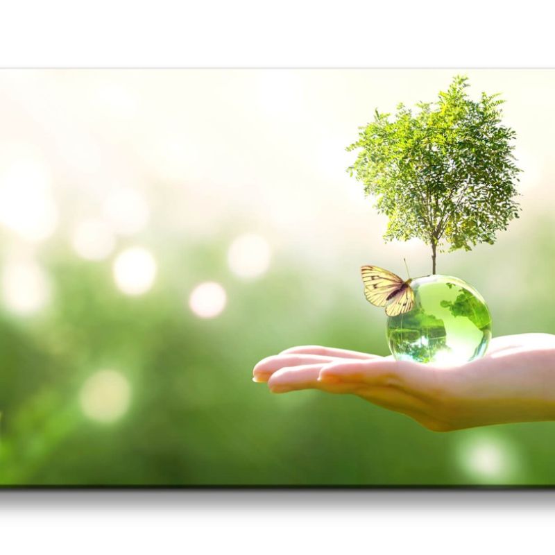 Leinwandbild 120x60cm Mutternatur Baum Schmetterling Grün Glaskugel