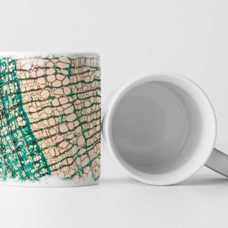 Tasse Geschenk Mikroskopie – Cambial cells