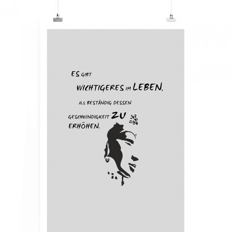 Poster in 60x90cm – Es gibt Wichtigeres im Leben, als beständig dessen Geschwindigkeit zu erhöhen.