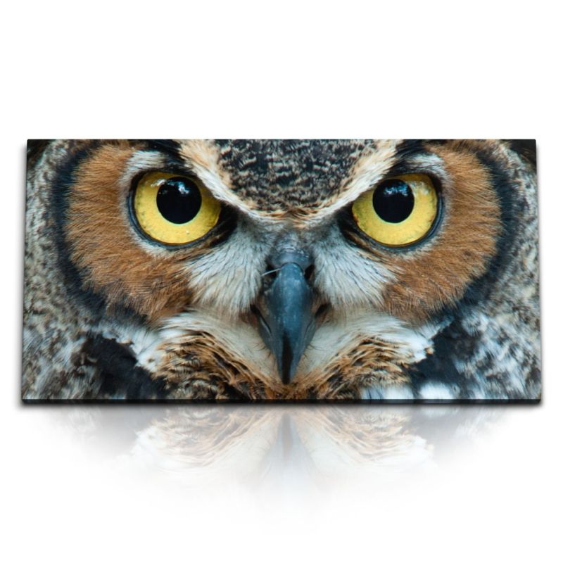 Kunstdruck Bilder 120x60cm Eule Eulenaugen Tierfotografie Eulenkopf Uhu